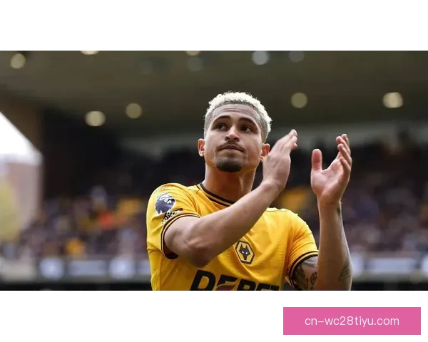 马竞冬窗瞄准戈麦斯李刚仁双星