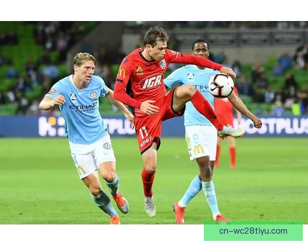 中央海岸逆转流浪者奥古拉瑟盖特